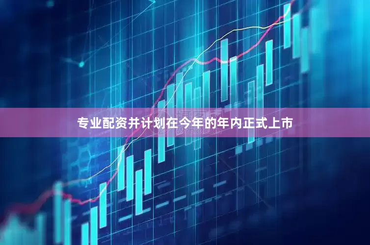 专业配资并计划在今年的年内正式上市